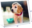 Massive Price Drop   Ships Free     Photo Frames - 6x4 7x5 Clear Acrylic