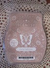 16 Different New Scentsy Wax Bars - You Pick