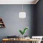 7 25  Nellie Retro Globe Shade Pendant Light White - River Of Goods 