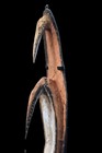 Masque Garra  Garra Mask  Oceanic Art  Papua New Guinea  Tribal Art  66 Cm