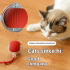 Cat Interactive Ball Toys Rolling Ball Faux Tail Rechargeable Smart Pet Toy Gift