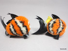 Steiff Woolen Coral Reef Fish X2 Orange 1960s 7cm 3in Id Buttons Tag Nomotta Vtg