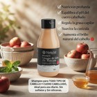 Kit Shampoo -tratamiento Capilar Vinagre De Manzana Menta Hair 550ml Hair Repair