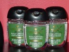 Bath And Body Works Pocket  bac Anti-bacterial Hand Gel Euc    Spearmint W  hold