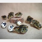 Coturnix Quail Fertile Hatching Eggs Standard   Jumbo  ex Daily Bread Homestead 