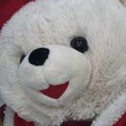 Choice Snowflake dan Dee love walmart Christmas 2010 Teddy Bears Tags