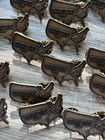 Harley Davidson Pin Lot  Earrings And More  28 Hd Pins 