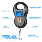 Hand Lcd Digital Scale Travel Fish Luggage Postal Mini Hanging Hook Weight 110lb