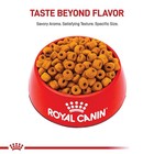 Royal Canin Breed Health Nutrition Labrador Retriever Adult Dry Dog Food  30lb