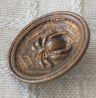 Antique Brass Concave Picture Button Spider On Web