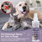 Cat Deterrent Spray Indoor  120ml Stops Chewing And Licking Of Furniture bandage