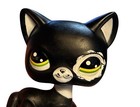 Rare Littlest Pet Shop Lps Authentic Black And White Blythe Cat  2249 Hasbro