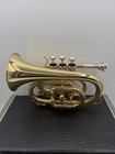 Rs Berkeley Pocket Trumpet W Soft Case