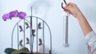 Fly Ribbon Trap 10-pack     Hanging Sticky Fly Catcher Strips For Indoor   Outdoor