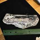 Big Polished  kenworth   Fordite Specimen Detroit Agate