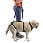 Ortocanis Full-body Dog Harness For Fore And Hind Support Size Xl