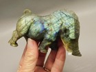 Warthog Figurine Labradorite Hand Carved Stone Animal  o1