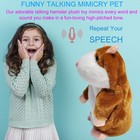 Talking Hamster Repeats What You Say Mimicry Pet Toy Plush Buddy Mouse With I   