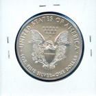 2020 Ase American Silver Eagle  1 Dollar 1oz  999 Bu Ms Uncirculated  49