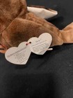 Rare Tag Date Error   Beanie Babies Collection  early  The Bird