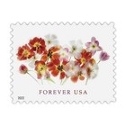 60 Forever Stamps 3 Sheets Poppy Flowers Tulp Wedding Shower Announcements