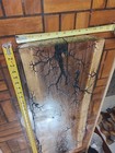 Black Walnut Lichtenberg Fractal Burn Slab 31   X 11  X  1 75 2  Live Edge 16 Lb