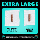Dude Wipes Flushable Wipes  Xl Wet Wipes For At Home Use  Mint Chill  240 Count