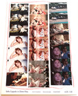 Sofia Coppola Retrospective 2025 Japanese Chirashi Movie Poster Flyer B5
