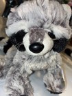 Ganz Webkinz Raccoon Hm143 Retired Plush Stuffed Animal W  Sealed Unused Code
