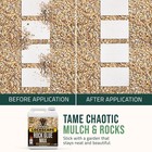 Petra Max Rock Glue For Landscaping  1 Gallon - Wide Coverage   1