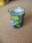 Colorado Shotglass Shot Glass Round Multi - Columbines Wrapped Gold Color Rim