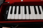Mugig Melodica 37 Key Keyboard Black Case Hose