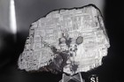 Muonionalusta Etched  Meteorite Full Slice Weight 187 4 Grams 5 Inches
