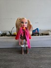 Vintage Rare Mga 2000s Entertainment Bratz Doll Campfire Cloe Doll