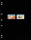  5 35 Scott Value - 1978 Djibouti Seashells Shells Red Sea Scarcer Cv Mnh Nh Umm