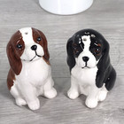 King Charles Spaniel Novelty Salt   Pepper Shaker Set Ceramic Dog Lover Gift Box