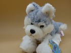 Webkinz Ganz Husky Hm120  With Sealed Tag Unused Code Retired