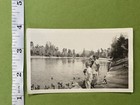 Original Vintage Photo Children Feeding Ducks  American Coot Snapshot Vernacular