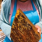 7 12lb Large Natural Tiger s Eye Stone Quartz Crystal Mineral Specimen Healing