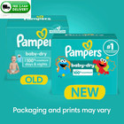 Diapers - Baby Dry - Size 1  44 Count  Absorbent Disposable Infant Diaper  packa