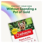 Advecta Ultra Flea And Tick Prevention For Dogs - Blue Flea And Tick Treatmen   