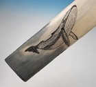 Genuine Swordfish Bill W  Original Pen   Ink Maritime Art Turney Manteo Nc