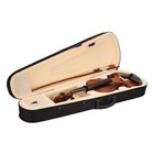 4 4 Basswood Acoustic Violin Fiddle Case Bow Rosin Natural For Student Beginner