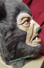 Trick Or Treat Studios Universal Monsters Wolfman Halloween Mask Werewolf Lycan