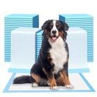 200 Ct Pet Pads Ultra-absorbent Housebreaking Potty Training Pads Xl Size 24x36 