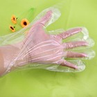 Botanica Natural Henna Hair Color Free With Dye Brush gloves   Shower Cap