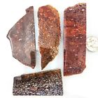 Gs756 Colorful   Dinosaur Gembone Thick Cut Mixed Slabs 185 1 Grams