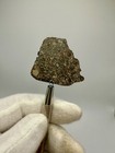Nwa 17756 Ll3 Meteorite 9 7 Gram Full Slice  subtype 3 3  W Abundant Chondrules