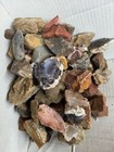 Rock Tumbling Rough 10lbs - Jasper  Agate  Petrified Wood