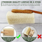 2 Pack Natural Exfoliating Loofah Luffa Loofa Bath Brush On A Stick  Shower Spon
